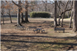 Picnic Tables