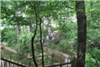 TreeTop Nature Trail