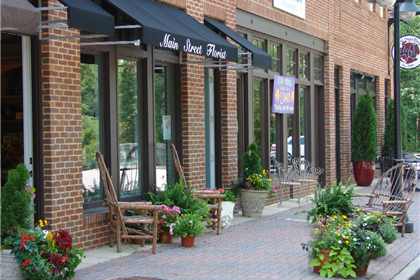 Shops within walking distance