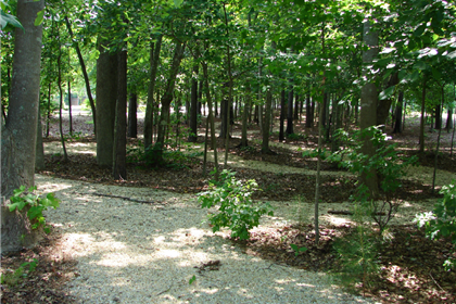 Trails help to connect homes with businesses