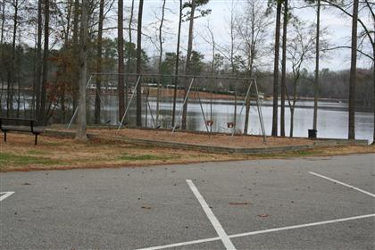 Play Area with Swing Set