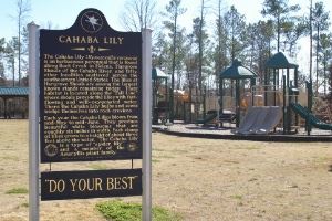 Cahaba Lily Park