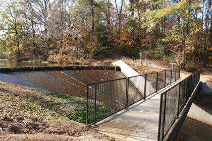 Bridge Over Lake Overflow