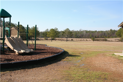 Playground and Field