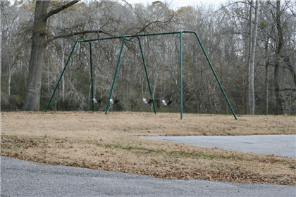 Swing Set