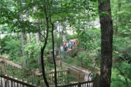 TreeTop Nature Trail