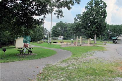 View from walking track