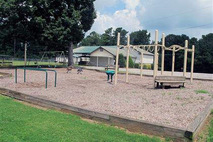 Monkey Bars and Swings