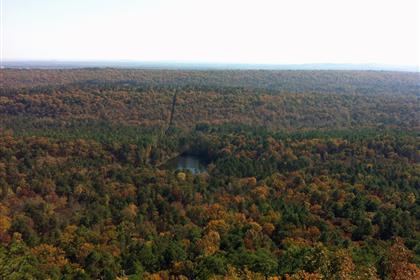 View from Blue Trail 3