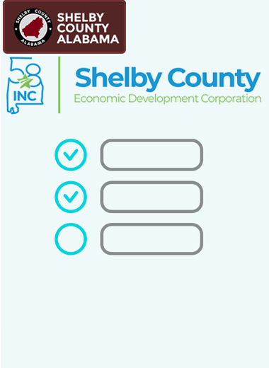 Internet Survey Image